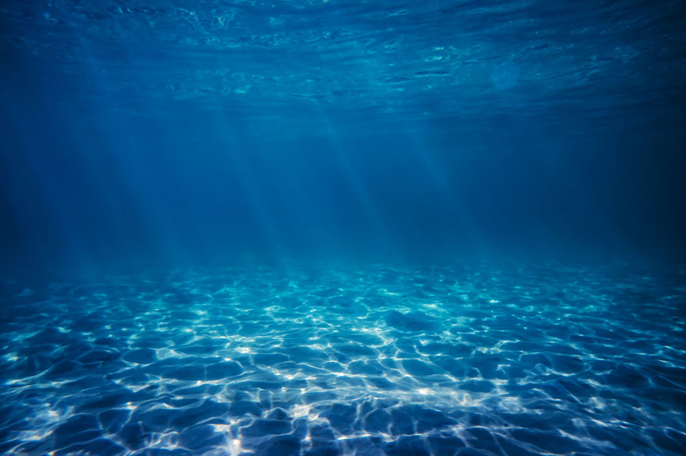 光導(dǎo)照明-使養(yǎng)殖室內(nèi)具備自然的生態(tài)環(huán)境