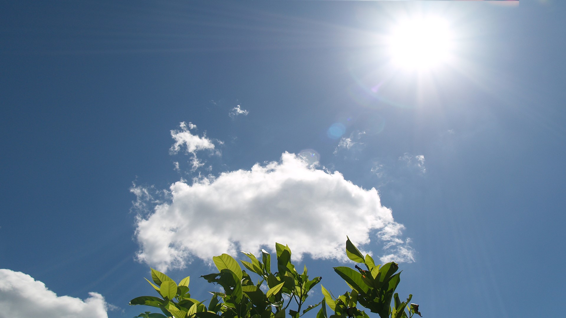 光導(dǎo)照明與電能照明主要的區(qū)別是什么？