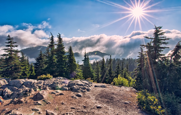 光導(dǎo)照明系統(tǒng)解決大進(jìn)深建筑采光問題