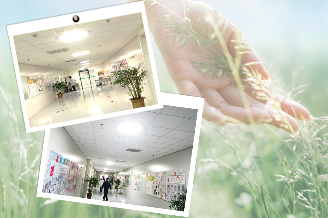 光導(dǎo)照明為學(xué)校教室提供舒適的、科學(xué)的照明環(huán)